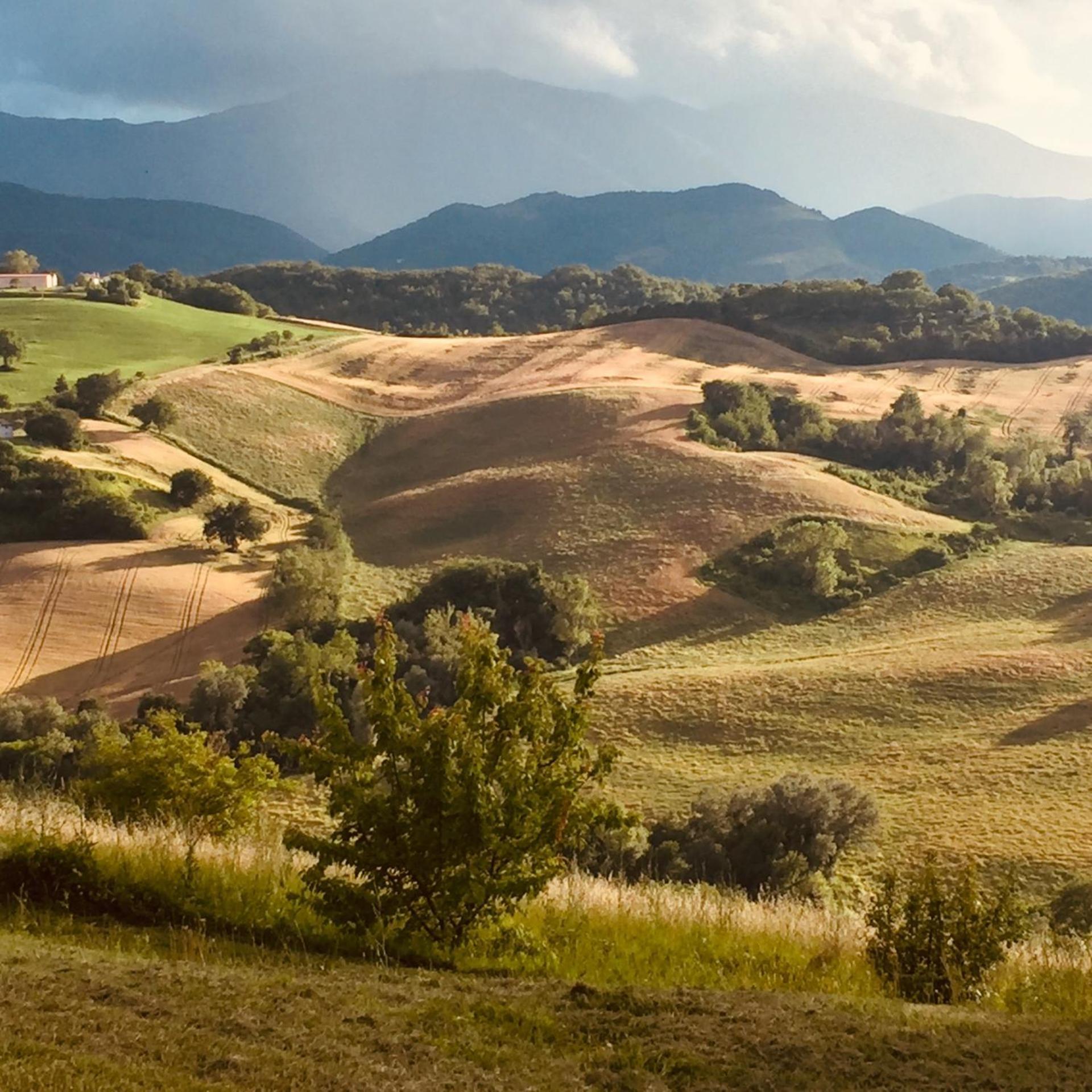 Agriturismo Il Fienile Di Ca Battista กายี ภายนอก รูปภาพ