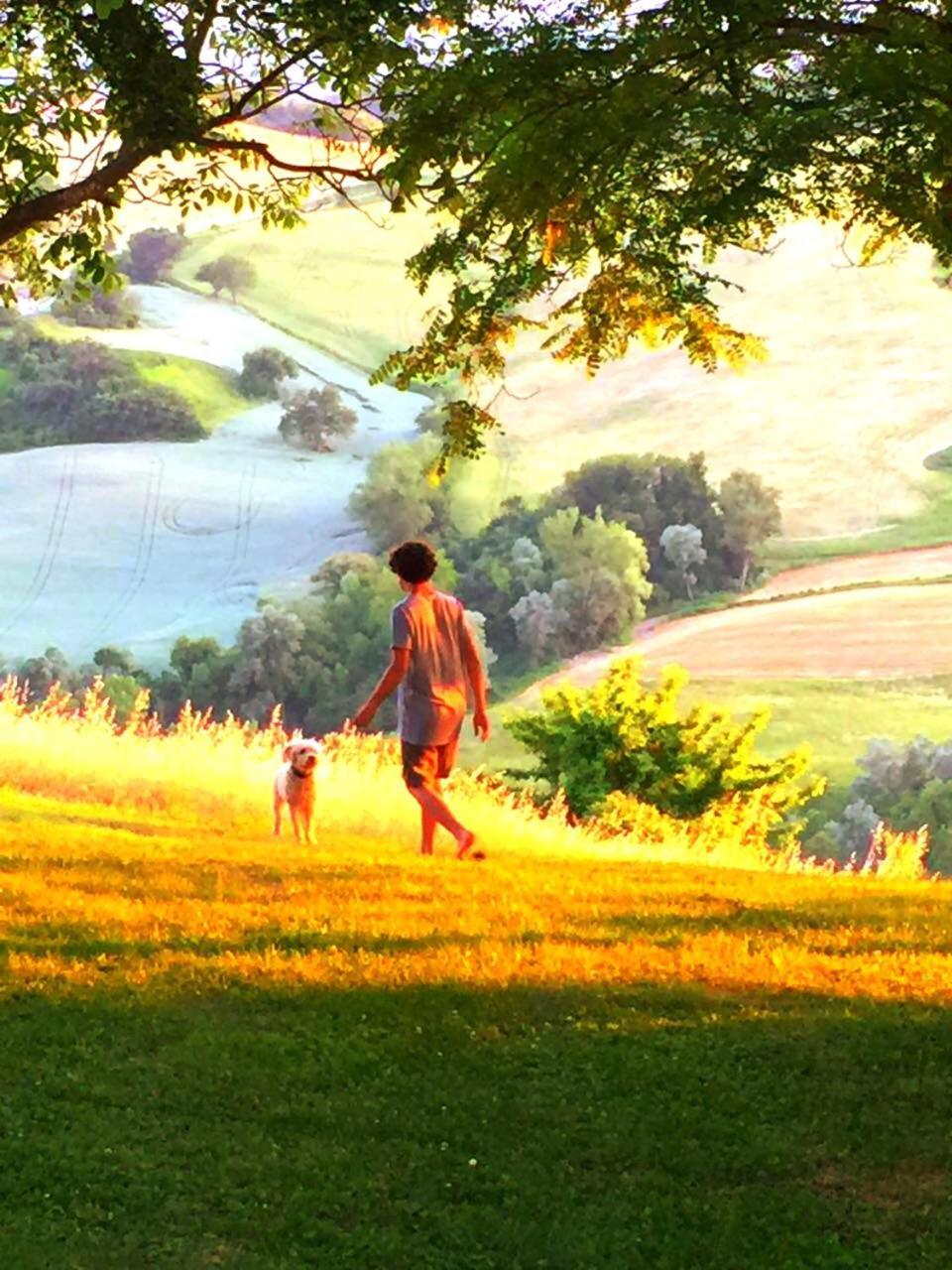 Agriturismo Il Fienile Di Ca Battista กายี ภายนอก รูปภาพ