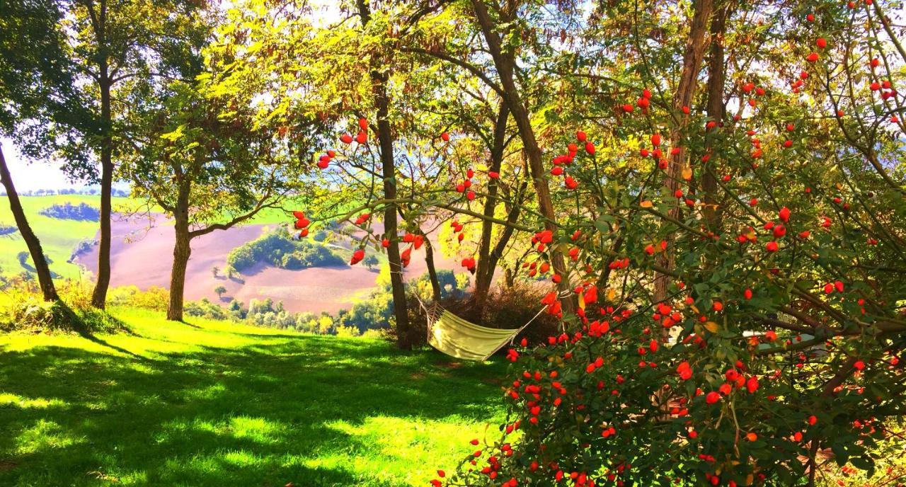 Agriturismo Il Fienile Di Ca Battista กายี ภายนอก รูปภาพ